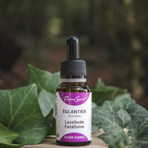 flower spirit elixir eglantier artisanal biologique