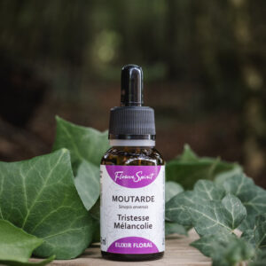 flower spirit elixir moutarde artisanal biologique