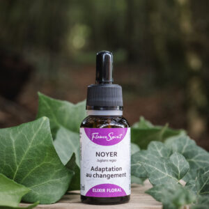 flower spirit elixir noyer artisanal biologique