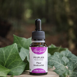 flower spirit elixir peuplier artisanal biologique