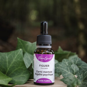 flower spirit elixir figuier artisanal biologique